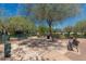 Community park featuring benches and mature trees offering shade and a relaxing environment at 20620 W Walton Dr, Buckeye, AZ 85396