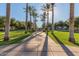 Pathway lined with palm trees and green lawns in a community park, enhancing the outdoor experience at 20620 W Walton Dr, Buckeye, AZ 85396