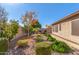 Landscaped backyard with gravel and various plants at 4213 E Stanford Ave, Gilbert, AZ 85234