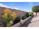 Landscaped backyard featuring colorful plants and a gravel area, providing a low-maintenance outdoor space at 18017 W Desert Ln, Surprise, AZ 85388