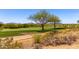 Breathtaking views of the golf course at 42017 N Crooked Stick Rd, Anthem, AZ 85086