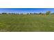 Vast green lawn, perfect for community events and recreation at 42017 N Crooked Stick Rd, Anthem, AZ 85086