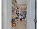 Walk-in pantry with ample shelving for storage at 18125 W Acacia Dr, Goodyear, AZ 85338