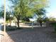 Side yard with gravel, desert plants, and a large tree at 21963 W Gardenia Dr, Buckeye, AZ 85326