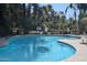 Community pool with surrounding landscaping at 2989 N 44Th St # 1004, Phoenix, AZ 85018