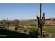 A golf course with a large cactus in the foreground and a mountain view in the background at 41216 N Shadow Creek Ct, Anthem, AZ 85086