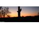 Striking silhouette of a saguaro cactus against a vibrant sunset sky in the peaceful desert landscape at 41216 N Shadow Creek Ct, Anthem, AZ 85086
