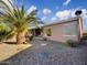 Home exterior showcasing a large palm tree and gravel landscaping at 42950 W Misty Morning Ln, Maricopa, AZ 85138