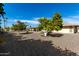 Large backyard with gravel, mature trees, and partial home view at 9719 W Newport Dr, Sun City, AZ 85351