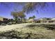 Community park with grassy area, covered picnic table, and mature trees at 2234 E 37Th Ave, Apache Junction, AZ 85119