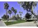 Lush green grass, palm trees, and shaded picnic areas at 2234 E 37Th Ave, Apache Junction, AZ 85119