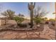 Desert home backyard featuring a wall, cactus, mature trees, and a stone walkway at 38860 N School House Rd, Cave Creek, AZ 85331