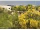 Landscaped yard with yellow flowers and desert plants at 7915 E Primrose Path, Carefree, AZ 85377