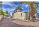 Backyard exterior featuring a palm tree at 3104 E Broadway Rd # 16, Mesa, AZ 85204