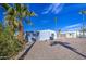 Backyard featuring gravel landscaping, palm trees, and a detached carport at 3104 E Broadway Rd # 4, Mesa, AZ 85204