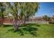 Expansive green lawn area with mature trees providing shade at 3435 E Desert Trumpet Rd, Phoenix, AZ 85044