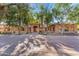 Stunning home exterior showcasing mature trees and manicured landscaping at 11505 E Cochise Dr, Scottsdale, AZ 85259