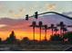 Stunning sunset view with palm trees and traffic light at 13830 W Fargo Dr, Surprise, AZ 85374