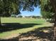 Sprawling community park featuring mature trees and a large grassy field at 34395 N Cherrystone Dr, San Tan Valley, AZ 85144