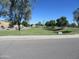 View of a large community park featuring mature trees at 34395 N Cherrystone Dr, San Tan Valley, AZ 85144