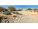 Desert landscaping features rocks, dirt, bushes, and some small trees at 36578 N Tatonga Trl, San Tan Valley, AZ 85140