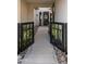 Inviting entryway with a well-lit walkway, decorative rock, and lush potted plants at 3882 E Andalusia Ave, Gilbert, AZ 85298