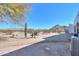 Spacious desert backyard with native plants and cacti, offering a peaceful retreat and scenic mountain views at 10020 W Tortalita Way, Casa Grande, AZ 85194