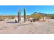 Scenic desert landscape showcasing native cacti and desert vegetation against a backdrop of clear blue skies and distant mountains at 10020 W Tortalita Way, Casa Grande, AZ 85194