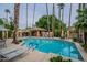 Enjoy the community pool with tall palm trees and plenty of lounge seating at 10426 N 10Th St # 1, Phoenix, AZ 85020