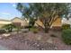 Single-story beige home with a well-manicured front yard featuring an olive tree, rocks, and desert landscaping at 13655 W Junipero Dr, Sun City West, AZ 85375