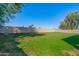 Expansive backyard featuring lush grass, mature trees, and a sturdy block wall, offering privacy and space at 1870 E Indigo Dr, Chandler, AZ 85286