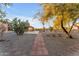 Backyard featuring a walkway and desert landscaping with mature trees at 30032 N Bryce Trl, San Tan Valley, AZ 85144