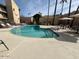 Community swimming pool surrounded by lounge chairs and palm trees at 4950 N Miller Rd # 135, Scottsdale, AZ 85251
