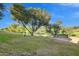 Lush green lawn with mature trees, a paved path, and a clear blue sky overhead at 6270 N 78Th St # 323, Scottsdale, AZ 85250