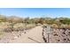 Hiking path through picturesque desert scenery with native plants and mountain views at 7619 E Elderberry Way, Gold Canyon, AZ 85118