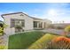 Backyard with manicured grass, palm trees, and easy to maintain desert landscaping at 9624 E Twinkle Cir, Mesa, AZ 85212