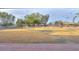 Expansive backyard with lush grass and mature trees, perfect for outdoor activities at 15076 W Belmont Dr, Casa Grande, AZ 85194