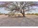 Backyard with desert landscaping featuring chairs and a large shady tree at 15076 W Belmont Dr, Casa Grande, AZ 85194