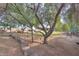 Spacious backyard with mature trees, picnic table, and well-maintained landscaping at 15076 W Belmont Dr, Casa Grande, AZ 85194