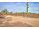 Exterior view showing desert landscaping and a glimpse of the mountains in the background at 15076 W Belmont Dr, Casa Grande, AZ 85194