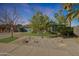 Well-kept front yard with mature trees and desert landscaping at 556 W Kiva Ave, Mesa, AZ 85210
