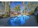 Inviting backyard pool surrounded by lush landscaping and towering palm trees at 556 W Kiva Ave, Mesa, AZ 85210