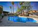Relaxing backyard pool with a concrete surround, metal fence, and mature palm trees at 556 W Kiva Ave, Mesa, AZ 85210