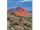 Picturesque desert mountain view with vibrant colors and lush vegetation in the foreground at 5741 E Star Valley St, Mesa, AZ 85215