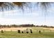 Picturesque driving range view with players, golf bag, and lush landscaping at a premier community at 8057 E Greythorn Dr, Gold Canyon, AZ 85118