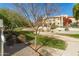 Landscaped front yard with mature trees and well-maintained walking path at 8255 N 22Nd Dr, Phoenix, AZ 85021