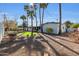 Backyard features artificial turf, desert landscaping, palm trees, and a white exterior at 9821 N 29Th Pl, Phoenix, AZ 85028