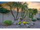 Beautiful backyard water feature with colorful plants, gravel, and rocks; palm trees in the background at 17675 N Coconino Dr, Surprise, AZ 85374