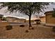 Landscaped front yard with desert plants creating a beautiful and inviting curb appeal at 6206 W Buckhorn Trl, Phoenix, AZ 85083