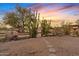 Desert landscaping with native cacti and mature trees create a serene and low-maintenance backyard environment at 10718 E Fenimore Rd, Mesa, AZ 85207